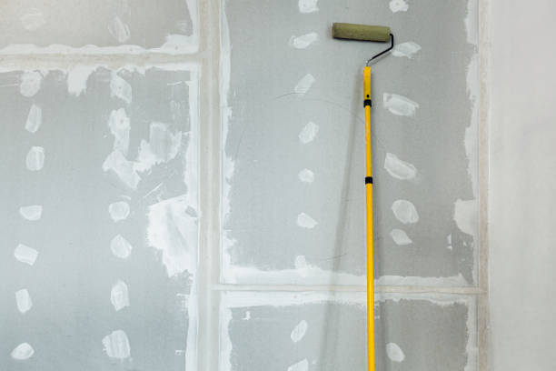 Reliable Windsor, NC Dry wall and painting Solutions